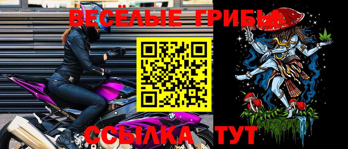 Псилоцибиновые грибы GOLDEN TEACHER  Вход с VPN  Орехово-Зуево 