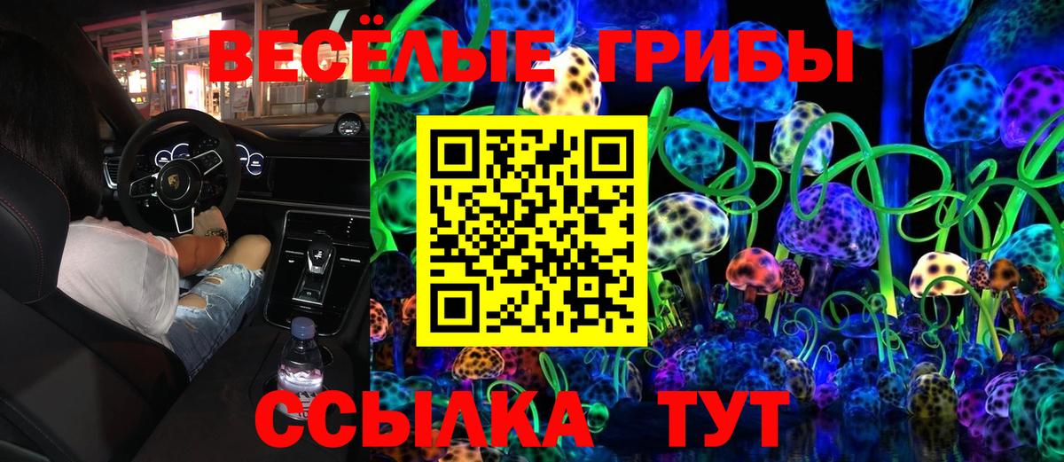 Галлюциногенные грибы Magic Shrooms Орехово-Зуево